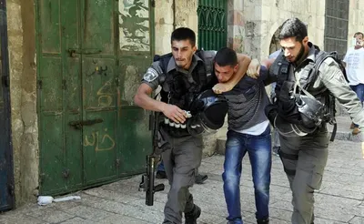 اخبار اليمن الان الاحتلال يعتقل مواطنين جنين اخبار اليمن الان الحدث اليوم عاجل