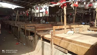 اخبار اليمن الان إضراب باعة القات احتجاجا الضريبة اخبار اليمن الان الحدث اليوم عاجل