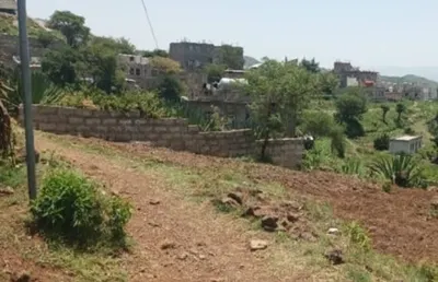 اخبار اليمن الان اعتداء جديد المقابر استياء السكان اخبار اليمن الان الحدث اليوم عاجل