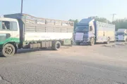 صدى الحقيقة اخبار اليمن الان الاسناد المجتمعي إغاثية الجبهات الساكنة اخبار اليمن الان الحدث اليوم عاجل صدى الحقيقة