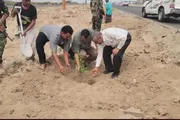 صحيفة المرصد اخبار اليمن الان الداؤودي تشجير الطريق لمديرية البريقة اخبار اليمن الان الحدث اليوم عاجل صحيفة المرصد