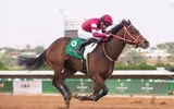 عكاظ اخبار اليمن الان ياهاقي يبحث إنجاز السعودية للفروسية اخبار اليمن الان الحدث اليوم عاجل عكاظ