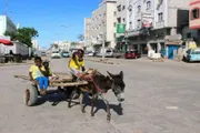 وكالة الصحافة اليمنية اخبار اليمن الان التحالف تنتهي بنهيق الحمير شوارع اخبار اليمن الان الحدث اليوم عاجل وكالة الصحافة اليمنية