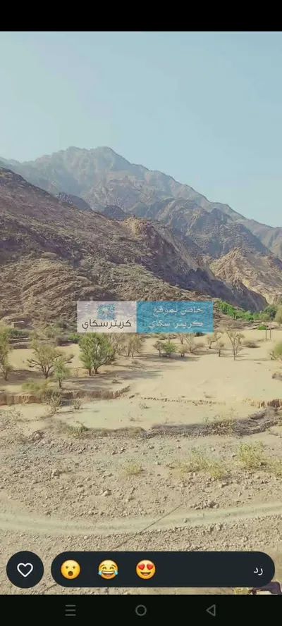 اخبار اليمن الان الجفاف وانقطاع الأمطار واشتداد الحرارة اخبار اليمن الان الحدث اليوم عاجل