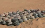 وكالة خبر اخبار اليمن الان ويفجر وعبوة مديرية العين بشبوة اخبار اليمن الان الحدث اليوم عاجل وكالة خبر