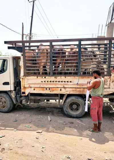 اخبار اليمن الان الحدث اليوم عاجل 