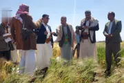 صحيفة الثورة صنعاء اخبار اليمن الان تدشين محاصيل العتر والقمح والشعير اخبار اليمن الان الحدث اليوم عاجل صحيفة الثورة صنعاء