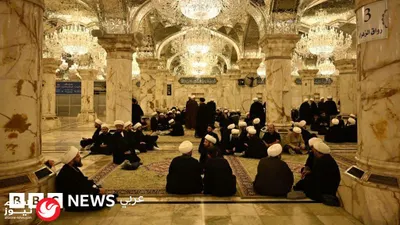 اخبار اليمن الان الخلود البيولوجي ملفات الساعة تقرير اخبار اليمن الان الحدث اليوم عاجل