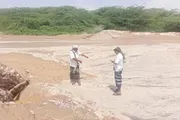 اخبار اليمن الان الحدث اليوم عاجل صحيفة المرصد