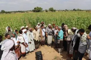 اخبار اليمن الان الحدث اليوم عاجل 