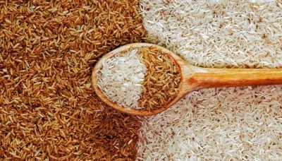 اخبار اليمن الان ارتفاع مفاجئ الأرز الشعير المستهلك اخبار اليمن الان الحدث اليوم عاجل