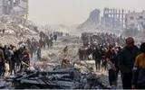 اخبار اليمن الان الحدث اليوم عاجل وكالة الصحافة اليمنية