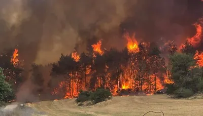 اخبار اليمن الان السلطة الفلسطينية إسرائيل المساعدة المحتلة اخبار اليمن الان الحدث اليوم عاجل