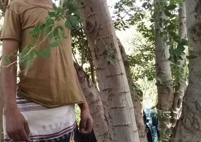 اخبار اليمن الان العثور قاصر مشنوقا مديرية المسيمر اخبار اليمن الان الحدث اليوم عاجل