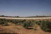 فرانس 24 اخبار اليمن الان الغربية مستوطنون يهاجمون دبلوماسيا ويعتدون اخبار اليمن الان الحدث اليوم عاجل فرانس 24