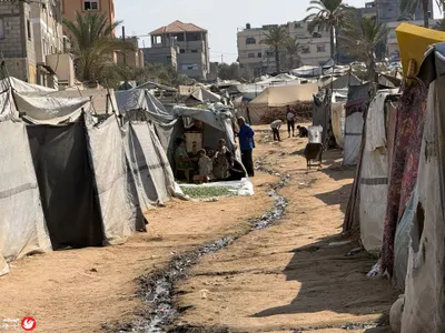 اخبار اليمن الان ترامب عبدالرحمن السيد السيناتور بالنسبة اخبار اليمن الان الحدث اليوم عاجل