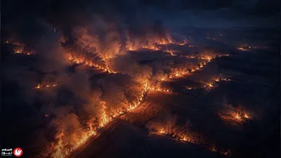 اخبار اليمن الان اللبناني والسوري الشيباني الضرورات الجيوسياسية اخبار اليمن الان الحدث اليوم عاجل