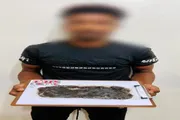عرب تايم اخبار اليمن الان وتقارير مكافحة المخدرات وبحوزته الحشيش اخبار اليمن الان الحدث اليوم عاجل عرب تايم