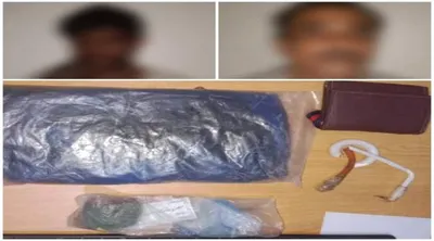 اخبار اليمن الان القبض مطلوبين خطيرين المخدرات المهرة اخبار اليمن الان الحدث اليوم عاجل