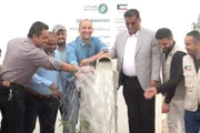 اخبار اليمن الان الحدث اليوم عاجل صدى الساحل