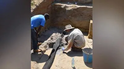 اخبار اليمن الان عمره العثور أقدم هيكل خشبي اخبار اليمن الان الحدث اليوم عاجل