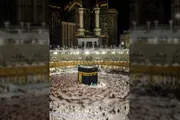 عدن نيوز اخبار اليمن الان السعودية التعامل العمرة المرخصة لطريقة اخبار اليمن الان الحدث اليوم عاجل عدن نيوز