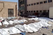 وكالة الصحافة اليمنية اخبار اليمن الان مستشفى السويداء المرضى والمعاقين النظام اخبار اليمن الان الحدث اليوم عاجل وكالة الصحافة اليمنية