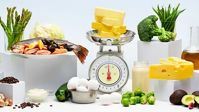 اخبار اليمن الان النباتات أخصائية أنواع الأنظمة الغذائية اخبار اليمن الان الحدث اليوم عاجل