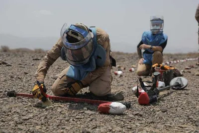 اخبار اليمن الان صحيفة الألغام الأرضية نباتها والإعاقة اخبار اليمن الان الحدث اليوم عاجل