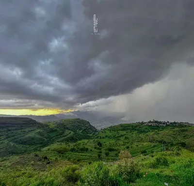 اخبار اليمن الان واقعة مروعة الإنتحار ببندق والدها اخبار اليمن الان الحدث اليوم عاجل