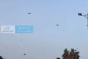 كريتر إسكاي اخبار اليمن الان إطلاقها مكافحة الغربان علامات استفهام اخبار اليمن الان الحدث اليوم عاجل كريتر إسكاي
