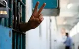 صحيفة الثورة صنعاء اخبار اليمن الان عدد296 المحكومون بالمؤبد الإفراج المرحلة اخبار اليمن الان الحدث اليوم عاجل صحيفة الثورة صنعاء