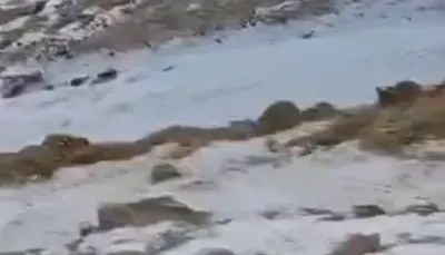 اخبار اليمن الان الثلوج تكسو مناطق محافظة فيديو اخبار اليمن الان الحدث اليوم عاجل