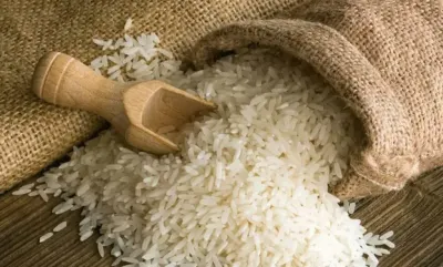 اخبار اليمن الان الأبيض والشعير الأسواق المصرية الثلاثاء اخبار اليمن الان الحدث اليوم عاجل