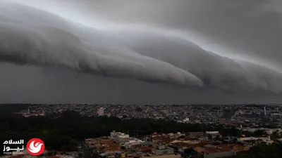 اخبار اليمن الان المحتوى الترفيهي للأطفال استراتيجية أنيماكورد اخبار اليمن الان الحدث اليوم عاجل