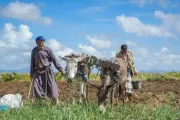 اخبار اليمن الان الحدث اليوم عاجل مارب اليوم
