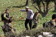 اخبار اليمن الان الحدث اليوم عاجل وكالة الصحافة اليمنية