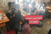 كريتر إسكاي اخبار اليمن الان صورة القلوب صنعاء مكسورة دراسي اخبار اليمن الان الحدث اليوم عاجل كريتر إسكاي