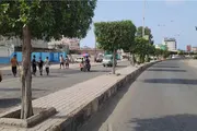 عرب تايم اخبار اليمن الان تشجير وتشذيب مديرية البريقة بالعاصمة اخبار اليمن الان الحدث اليوم عاجل عرب تايم