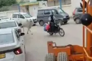 صحيفة المرصد اخبار اليمن الان بقرة تتصدر الترند مطاردة بأقصى اخبار اليمن الان الحدث اليوم عاجل صحيفة المرصد