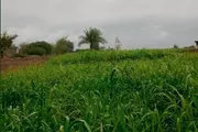 اخبار اليمن الان الحدث اليوم عاجل كريتر إسكاي