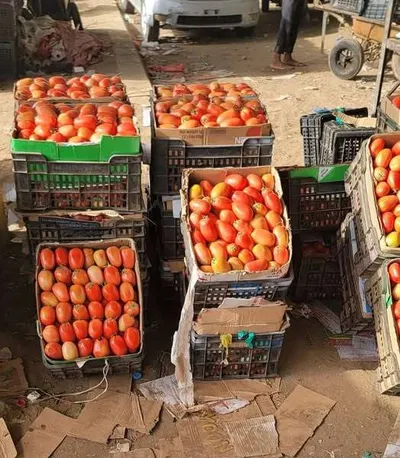اخبار اليمن الان الحدث اليوم عاجل 
