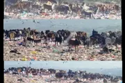 اخبار اليمن الان الحدث اليوم عاجل كريتر إسكاي