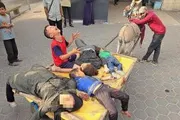 صحيفة الثورة صنعاء اخبار اليمن الان الأحرار الفلسطينية المجزرة ارتكبها الصهيوني اخبار اليمن الان الحدث اليوم عاجل صحيفة الثورة صنعاء