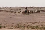 اخبار اليمن الان الحدث اليوم عاجل عرب تايم