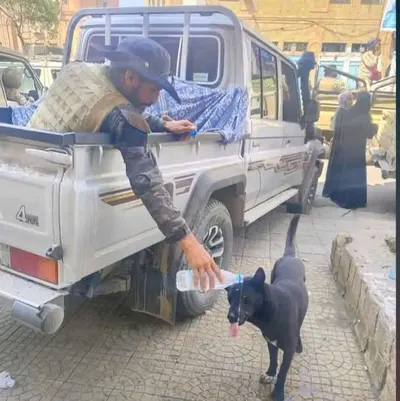 اخبار اليمن الان موقف انساني لمرافق وزير الدفاع اخبار اليمن الان الحدث اليوم عاجل