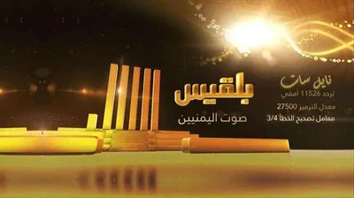 اخبار اليمن الان الجمهورية التابعة لطارق تضامنها بلقيس اخبار اليمن الان الحدث اليوم عاجل