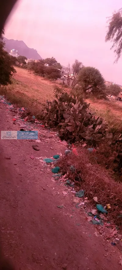 اخبار اليمن الان الحدث اليوم عاجل 