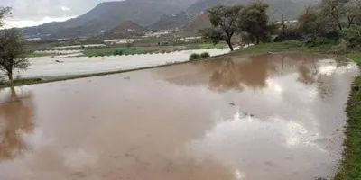 اخبار اليمن الان وعواصف المحافظة والأرصاد صافرات الانذار اخبار اليمن الان الحدث اليوم عاجل