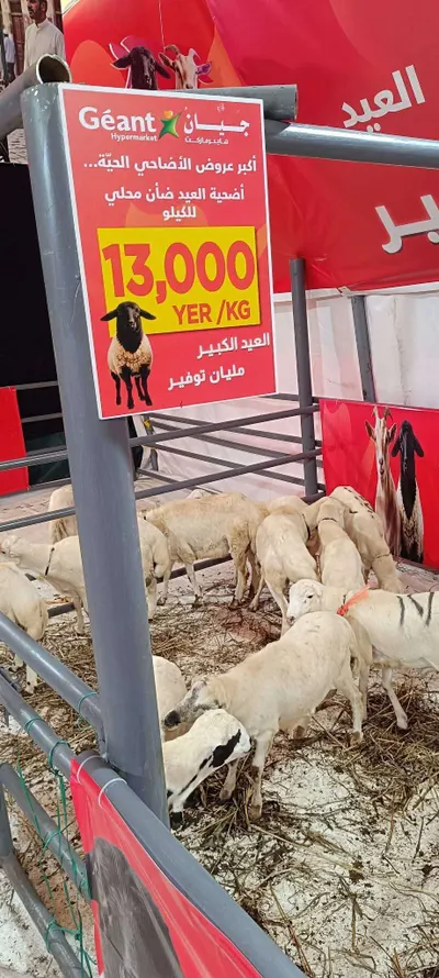اخبار اليمن الان ماركت جيان بعدن يقوم مسبوق اخبار اليمن الان الحدث اليوم عاجل